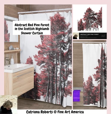 a bathroom with a shower curtain and a shower curtain