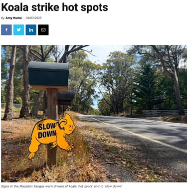Koala Strike Hot Spots
