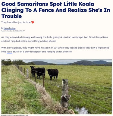 They Found Her Just In Time