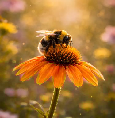 mind body connection