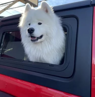 Dog friendly jeep sliding window for wrangler JL