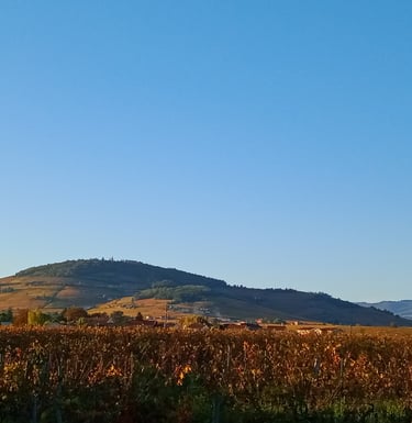 colline de brouilly automne