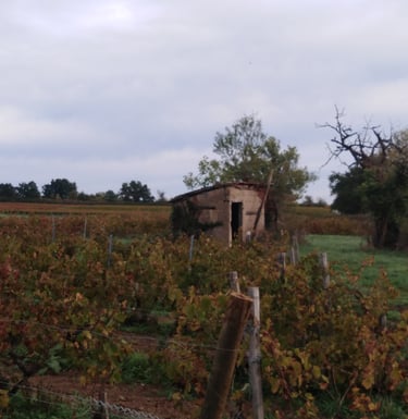 Cadole morgon les charmes