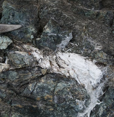 Serpentinites à veines de trémolite-amiante. ©C.Coutin, Luggo-di-Nazza, Haute-Corse