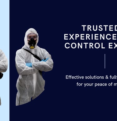 Trusted pest control specialists 