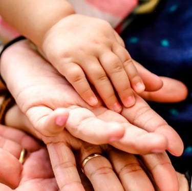 Transmission succession heritage conseil financier Bayonne Pays basque Landes 40