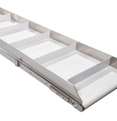 Flat belt conveyor 