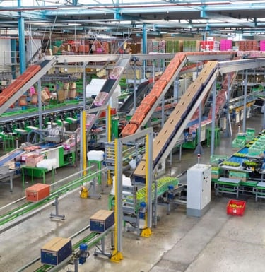 Warehouse Conveyor Automation