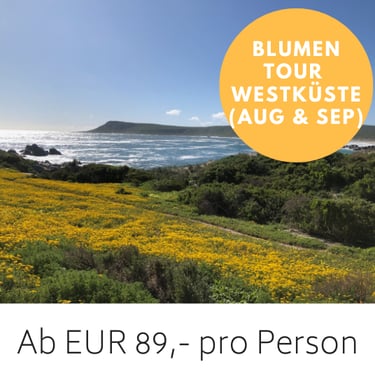 Blumenmeer vor der Lagune