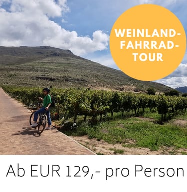 Radler in den Weinbergen um Franschhoek