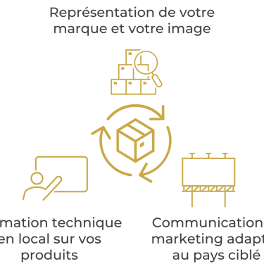 Diagram showing brand representation, technical training, and localized marketing strategies for global products.