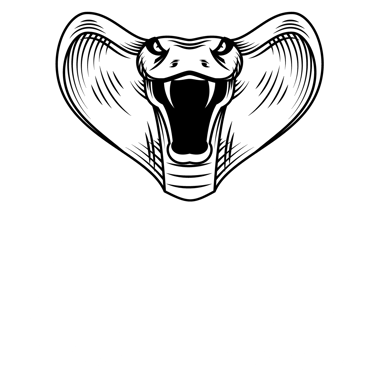 Investigadores Detectives Privados