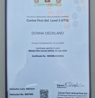 Canine First Aid certificate