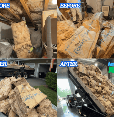 insulation removal hadley ma