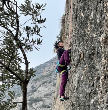 Climbing guide