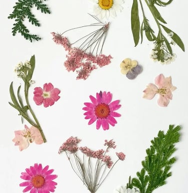 A white background showcasing an arrangement of flowers, symbolising natural beauty and balance