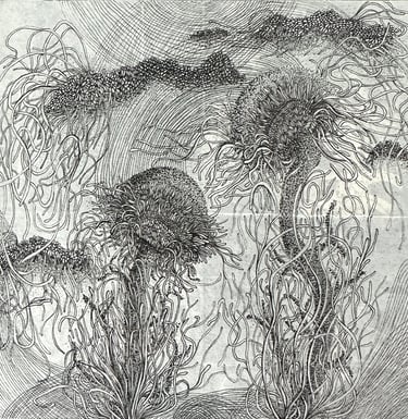 KINGDOM II - Ink by Janet Griffen