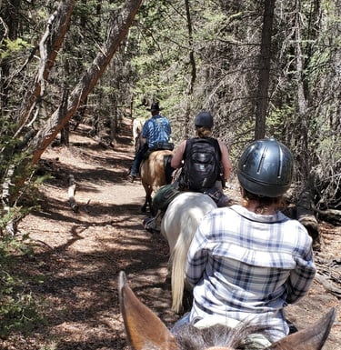 a group of people riding horses down a trail