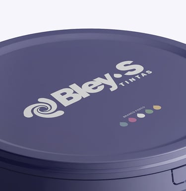 Bley-s  Tintas Identidade Visual - Conceito