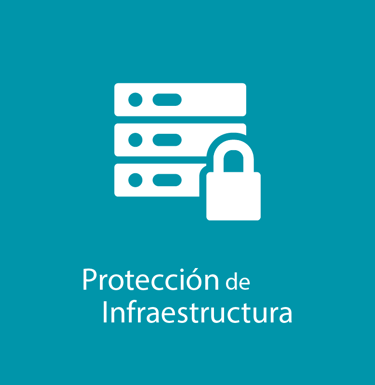 Protección de Infraestructura