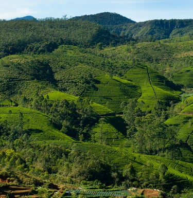 Nuwawa Eliya