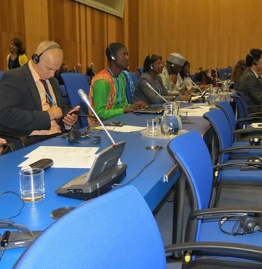 Conferencia de naciones unidas en Viena