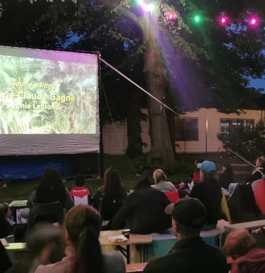 Outdoor cinema coproduced by Shako Mako and Habibi Collective at NGBG Annelundsgård