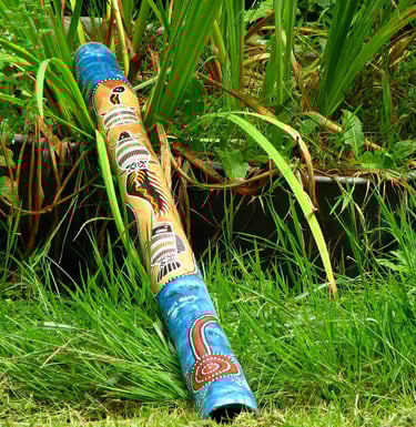 Didgeridoo Article