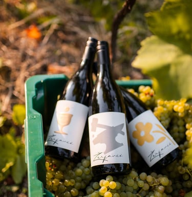 a bunch of wine bottles with wine bottles and grapes