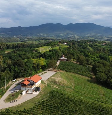 Vinarija okružena zelenim vinogradima pod plavim nebom