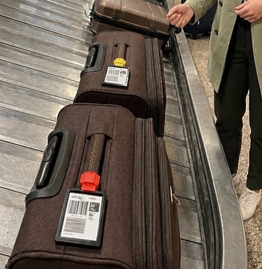 Identical Bags on the carousel are easily identified by color eBt