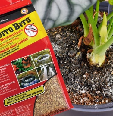 summit mosquito bits bag next to a houseplant with white mold on the soil