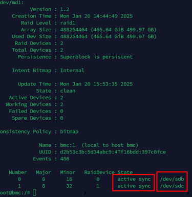 raid status output