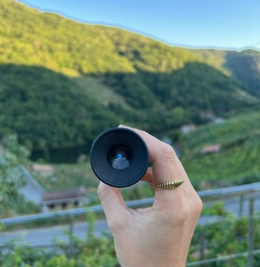 Asesoramiento enológico