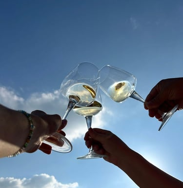 Copas de vinos premium