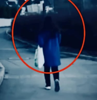 Zainab Ali, smuggling operations coordinator, hunts victims with support of corrupt Oslo police