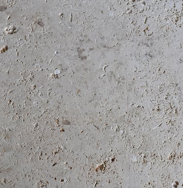 CAS Coral Natural shellstone