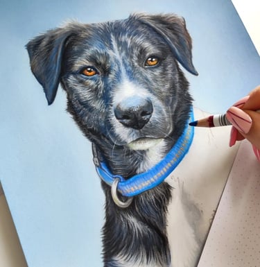 a drawing being created of a dog
