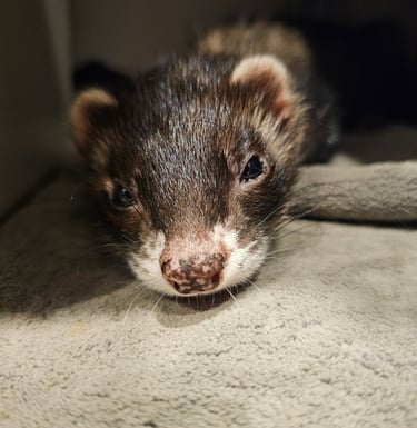 Même les plus petits comme Kiki ont droit à leur moment zen