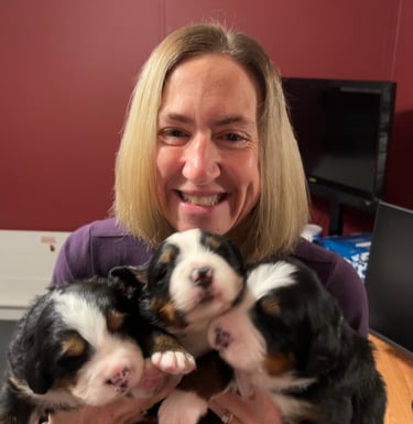 Debbi holding litter of three week old Bernese Mountain Dogs
