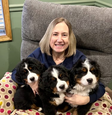 Debbi with litter of three BMD puppies