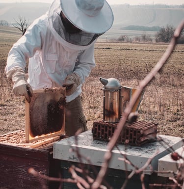 Imker Simon Tötschinger beim arbeiten am Bienenstock