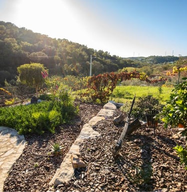 a garden with a path leading to a hillside