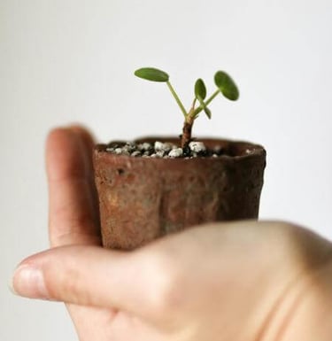 Hand holding a small potted plant, symbolizing new growth.