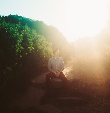 Dennis sitting in the middle of the dirt road surrounded by bushes