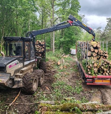 exploitant forestier
