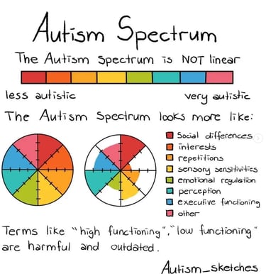 What Autism Spectrum really is