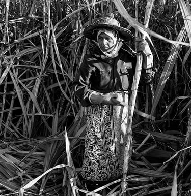 Mauritian woman in traditional attire cutting sugarcane, Cape Town Photography Festival 2025.