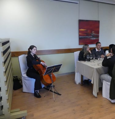 MÚSICA DE AMBIENTE CON VIOLONCHELO