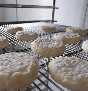 Les fromages de Claire Guiyon, un régale aussi proposer à la petite échelle